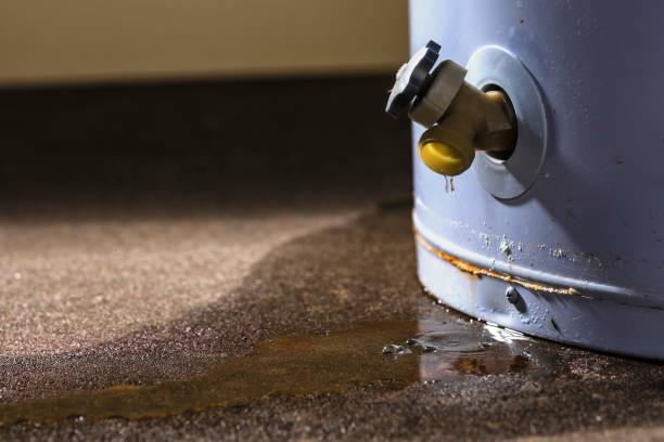 Best Ceiling and Wall Water Damage Repair in Valencia West, AZ