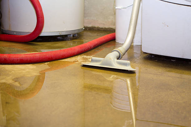 Best Carpet and Upholstery Water Damage Restoration in Valencia West, AZ